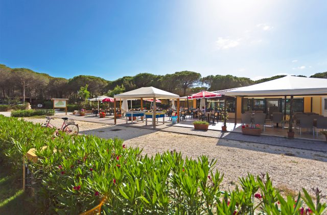 The outdoor bar area at Camping Cala Ginepro, beside the pine forest