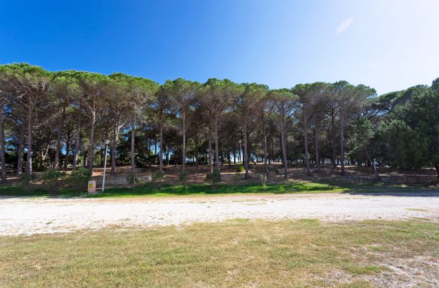 Campeggio In Sardegna Piazzole Ombreggiate Camping Cala